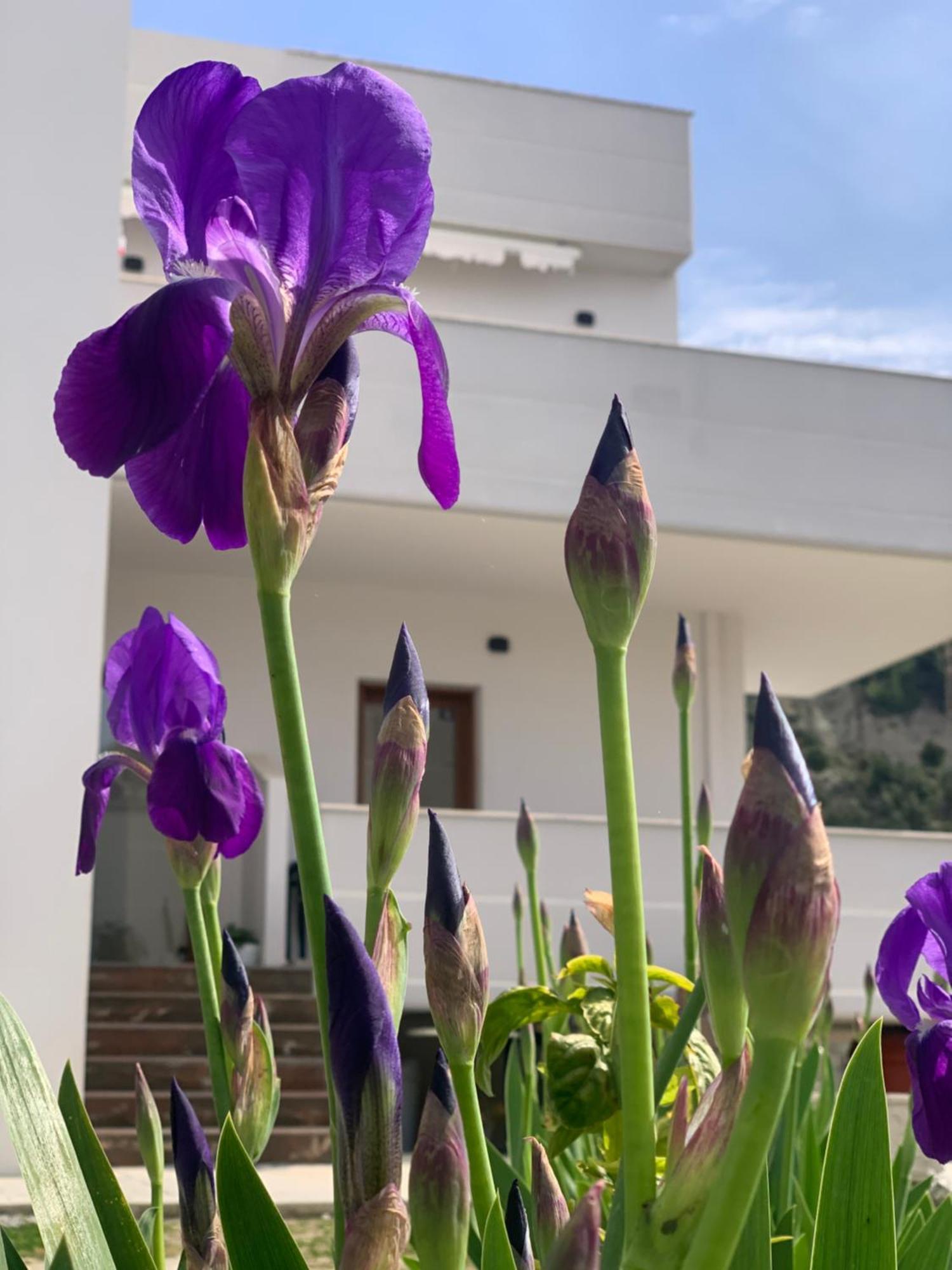 Villa Rreze Dielli Vlore Exterior photo